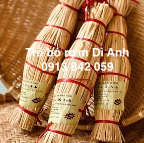 tré-bình-định-dì-anh