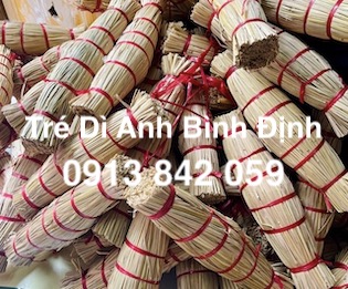 tré Bình Định Dì Anh